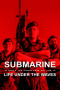 Submarine Life Under the Waves