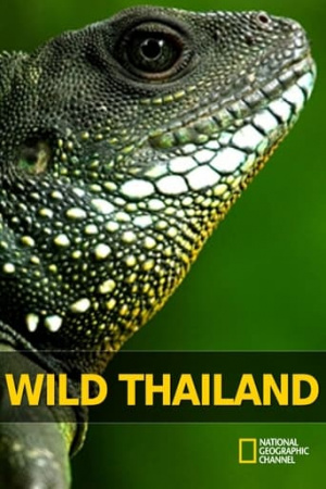 Wild Thailand