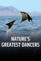 Nature's Greatest Dancers