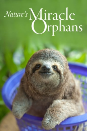 Nature's Miracle Orphans