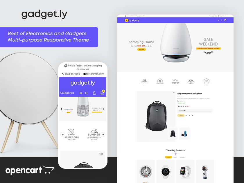 TechGadgets Case Study
