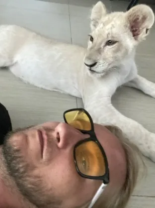 Чай
