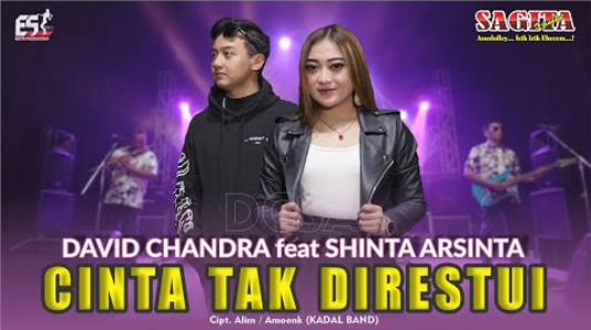 Shinta Arsinta Feat David Chandra - Cinta Tak Direstui