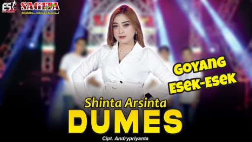 Shinta Arsinta - Dumes