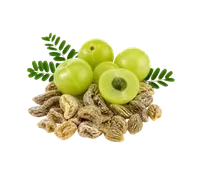 শুকনো আমলকী