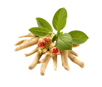 অশ্বগন্ধা