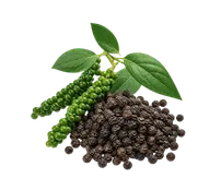 ফিলফিল সিয়াহ