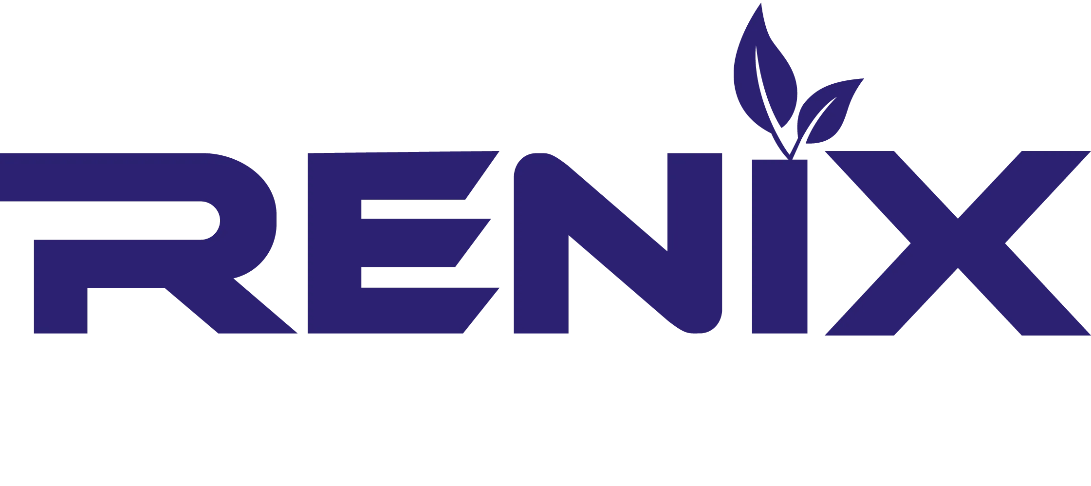 Renix