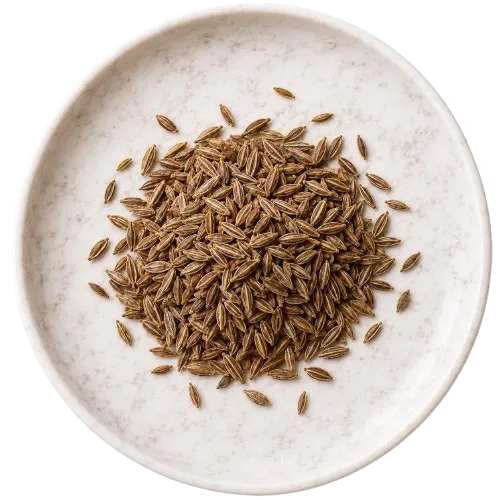 Carum carvi 100 mg