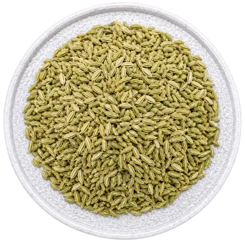 Foeniculam vulgare - 0.15 gm