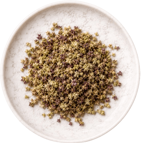 Origanum vulgare 100 mg