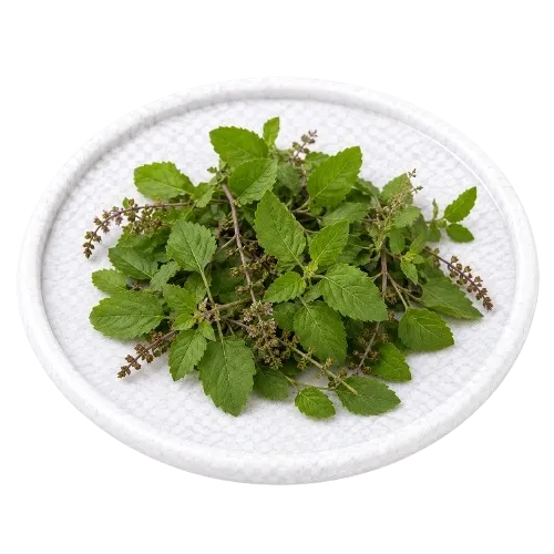 Tulsi - 2.5