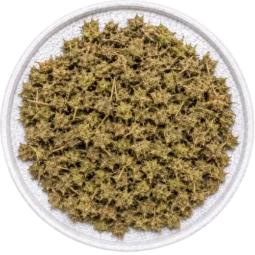 Bindii 20 mg