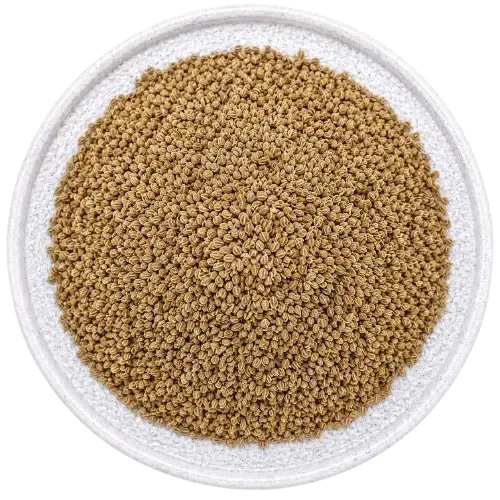 Trachyspermum ammi - 0.10 gm
