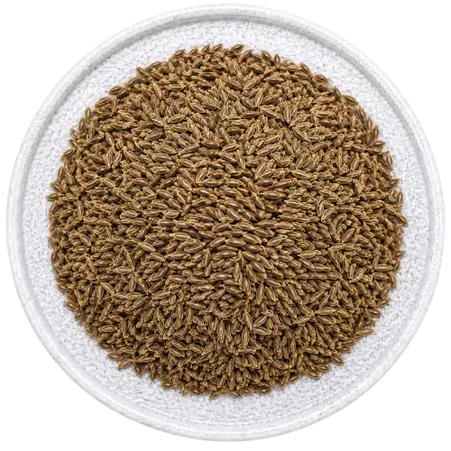 Cuminum cyminum - 0.10 gm