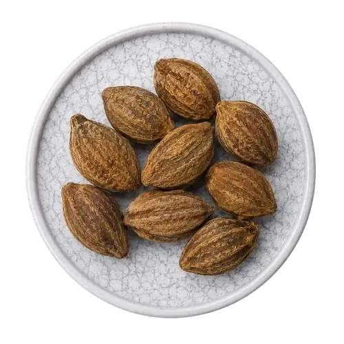 Terminalia chebula 37.5 mg