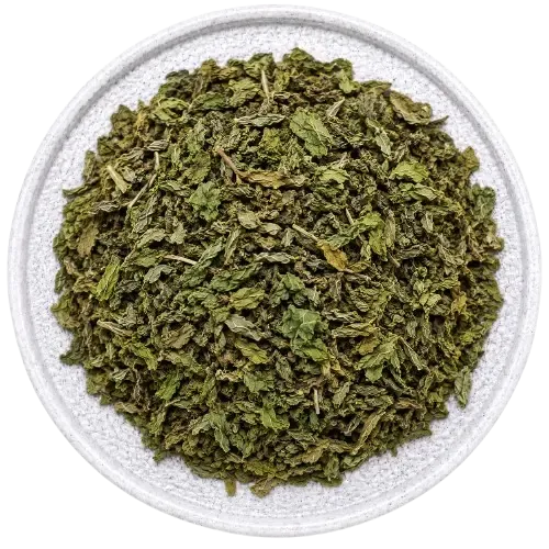 Mentha arvensis - 0.05 gm