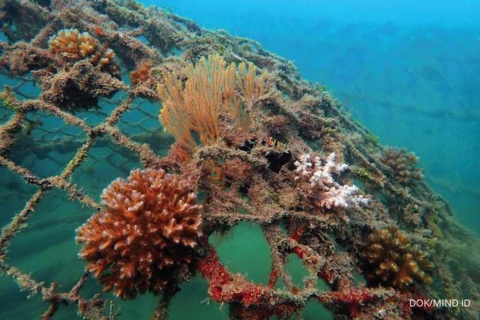 MIND ID Group's Reclamation Program Implements Good Mining Governance