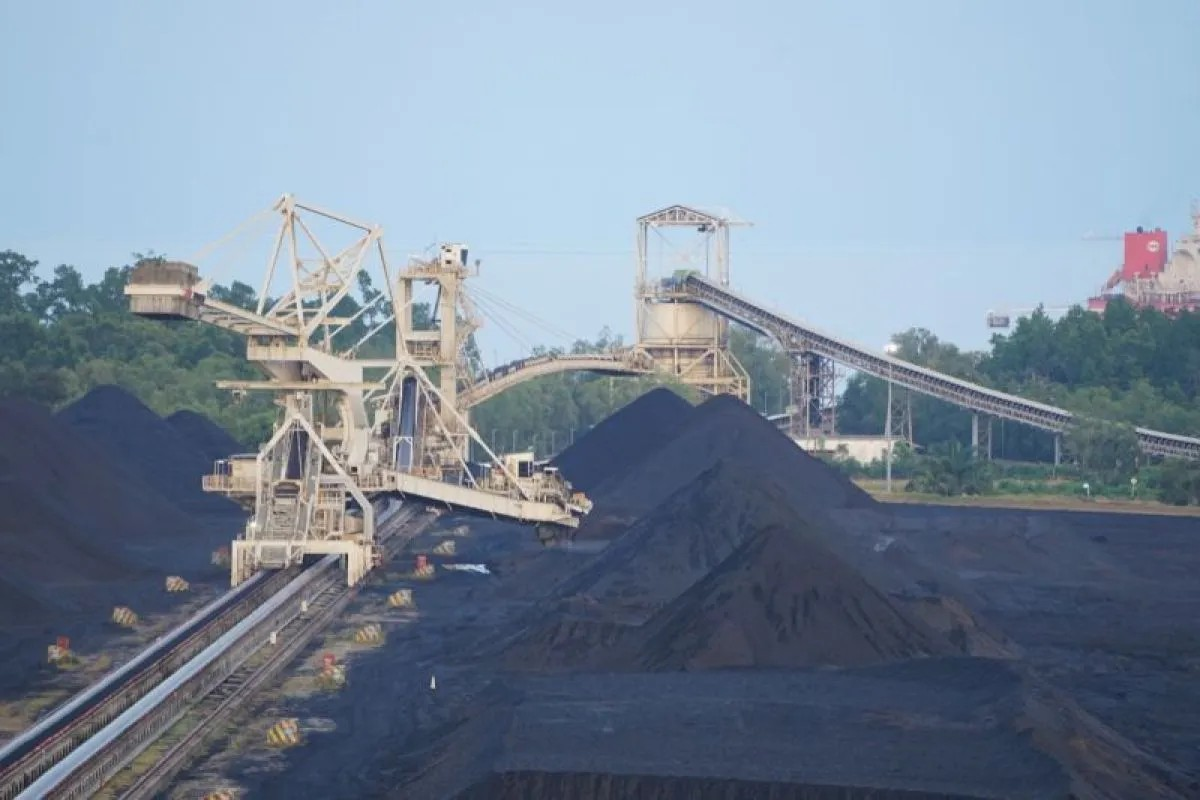 BUMI becomes one of PLN's largest coal suppliers