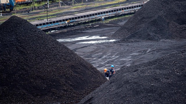 Bukit Asam (PTBA) Posts Net Profit of IDR 3.23 Trillion in Q3 of 2024