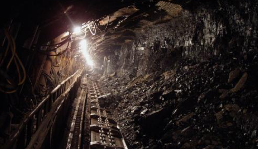 BYAN sues BKPM over dwindling mining area