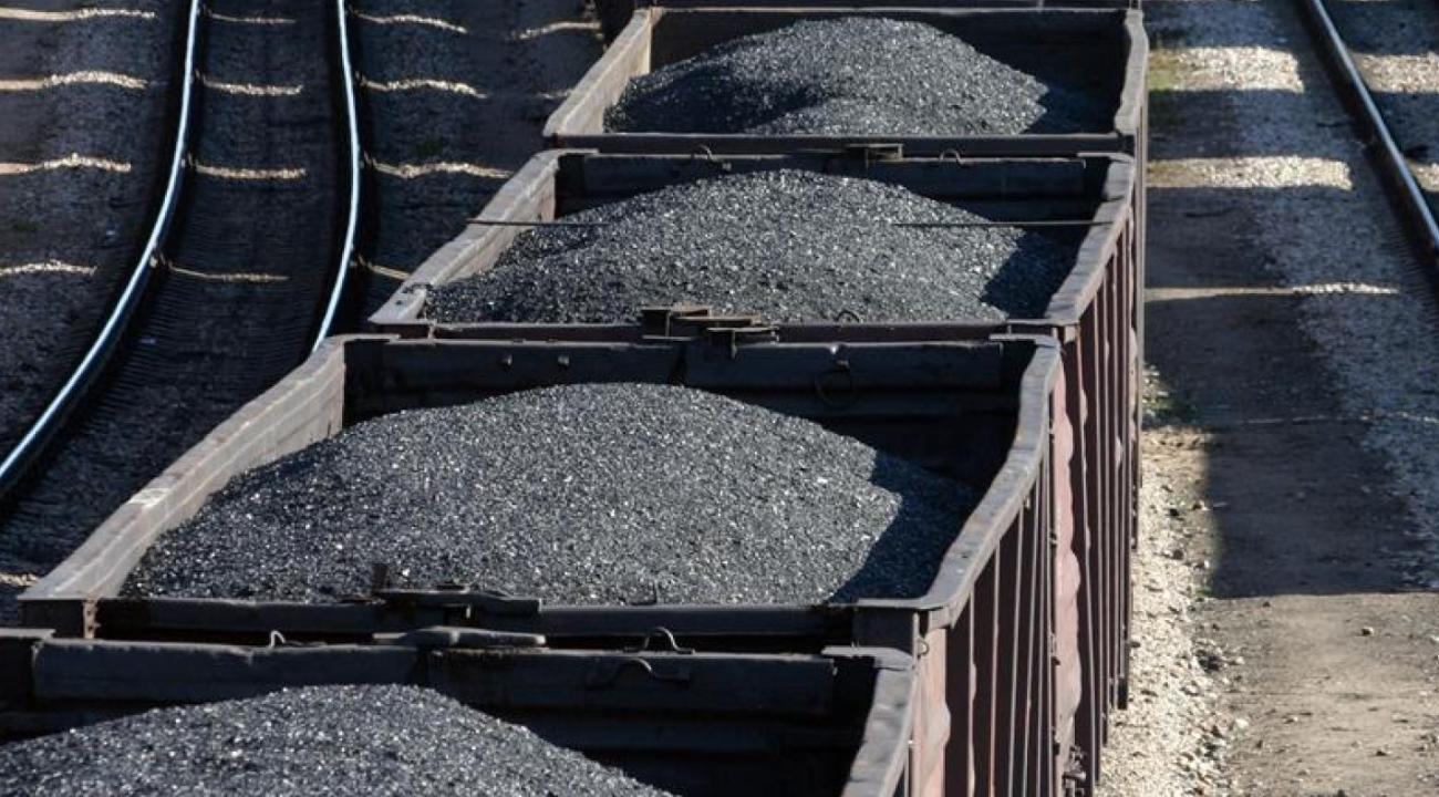 BYAN to stop mining activities in West Kutai
