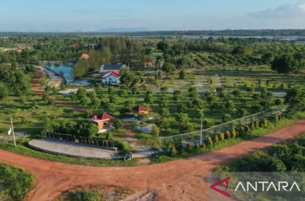 PT Timah Involve Village owned Enterprises on 400 hectares Mines Reclamation