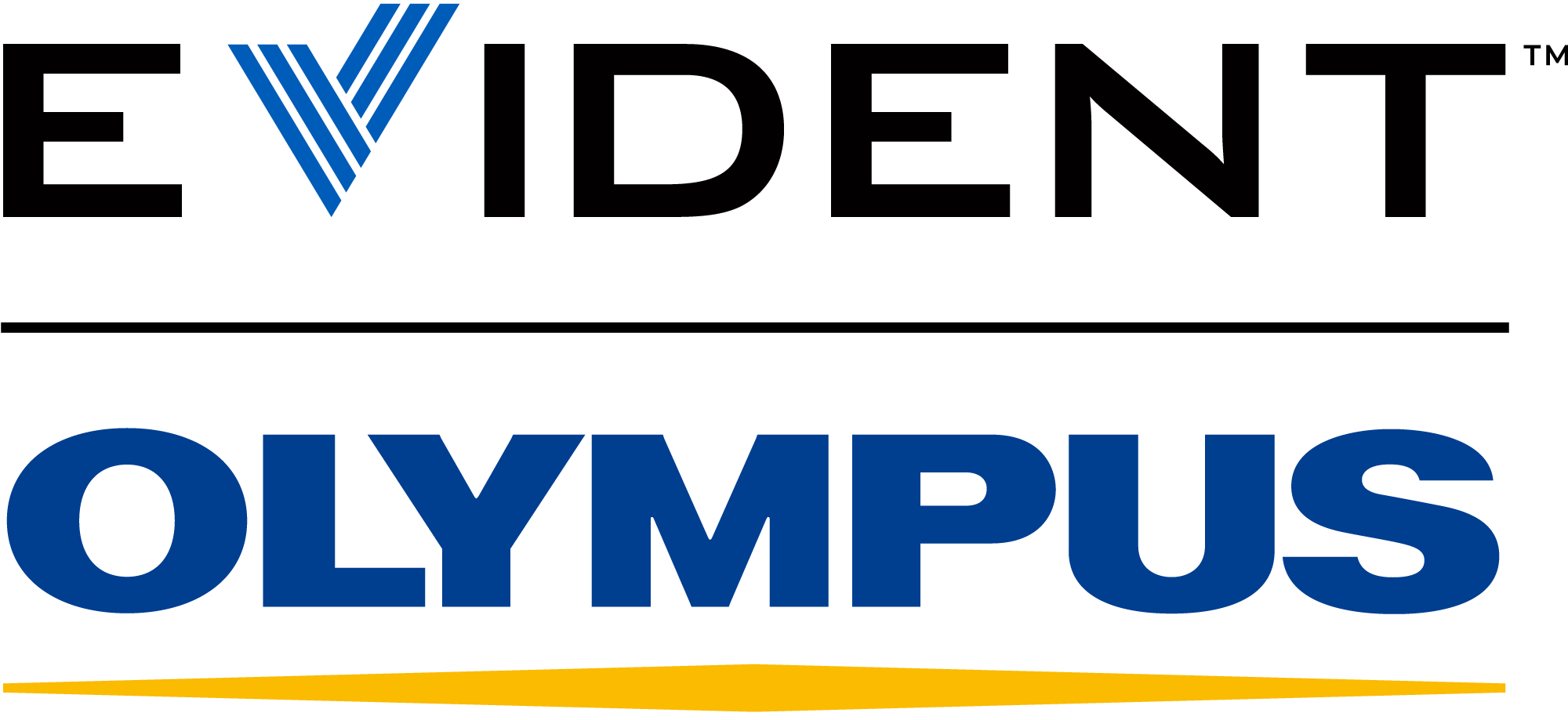 Company
