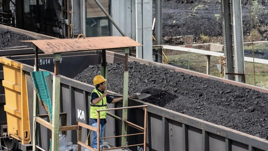 PTBA Coal Sales Reach 21.10 Million Tonnes in H1 2026
